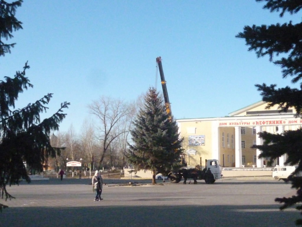 В Жирновске установили главную городскую ель – ЖирнОе.RU