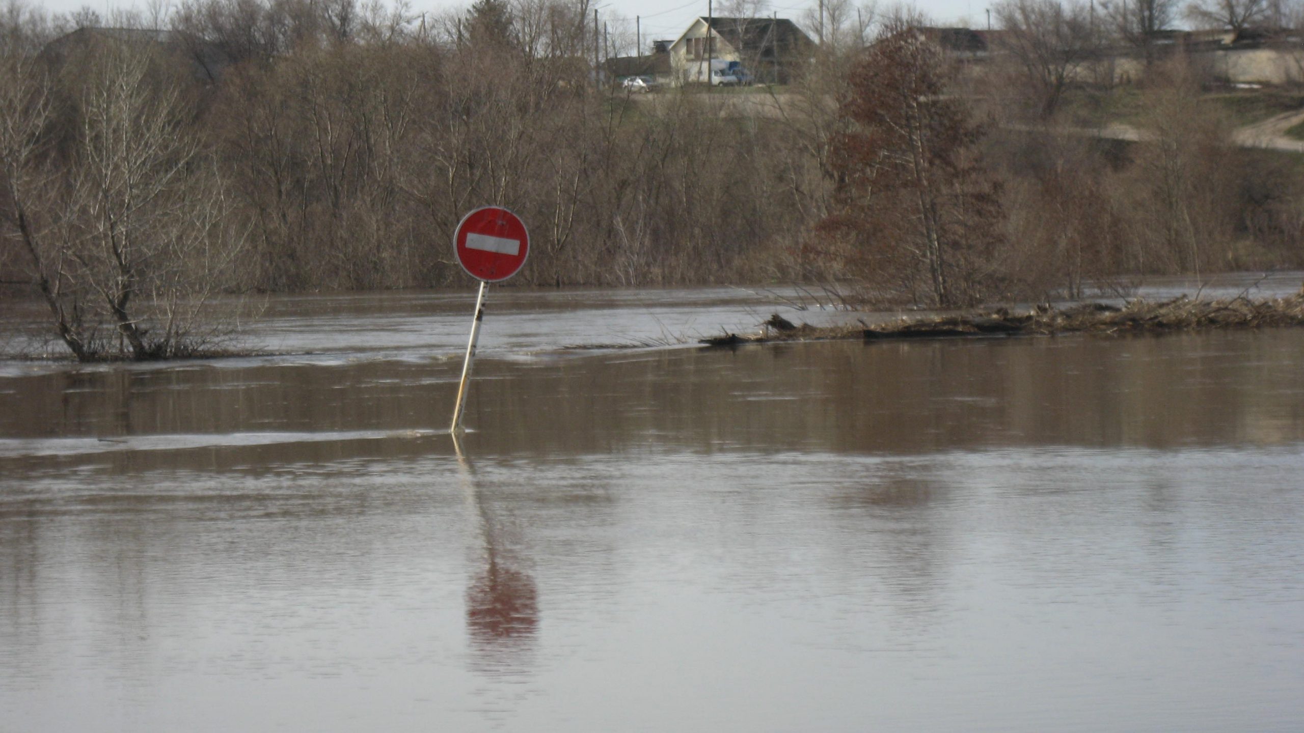 Паводок на алтае 2024 года. Жирновск река Медведица. Наводнение на Алтае июнь 2023. Малый мост Жирновск. Паводок.